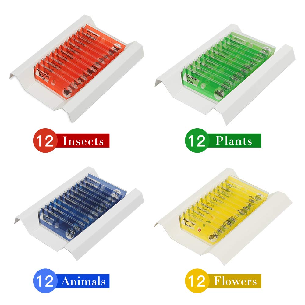 48 Prepared Microscope Slides Set of Animals Insects Plants Flowers, Biological Learning Resource Specimens for Kids Beginner Classroom Basic Science Education - Image 2