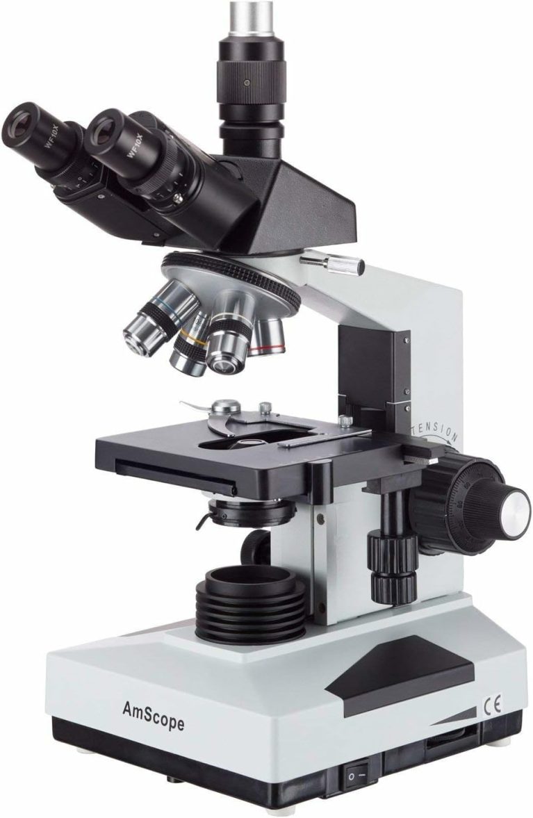 AmScope T490B Compound Trinocular Microscope, 2000X Magnification