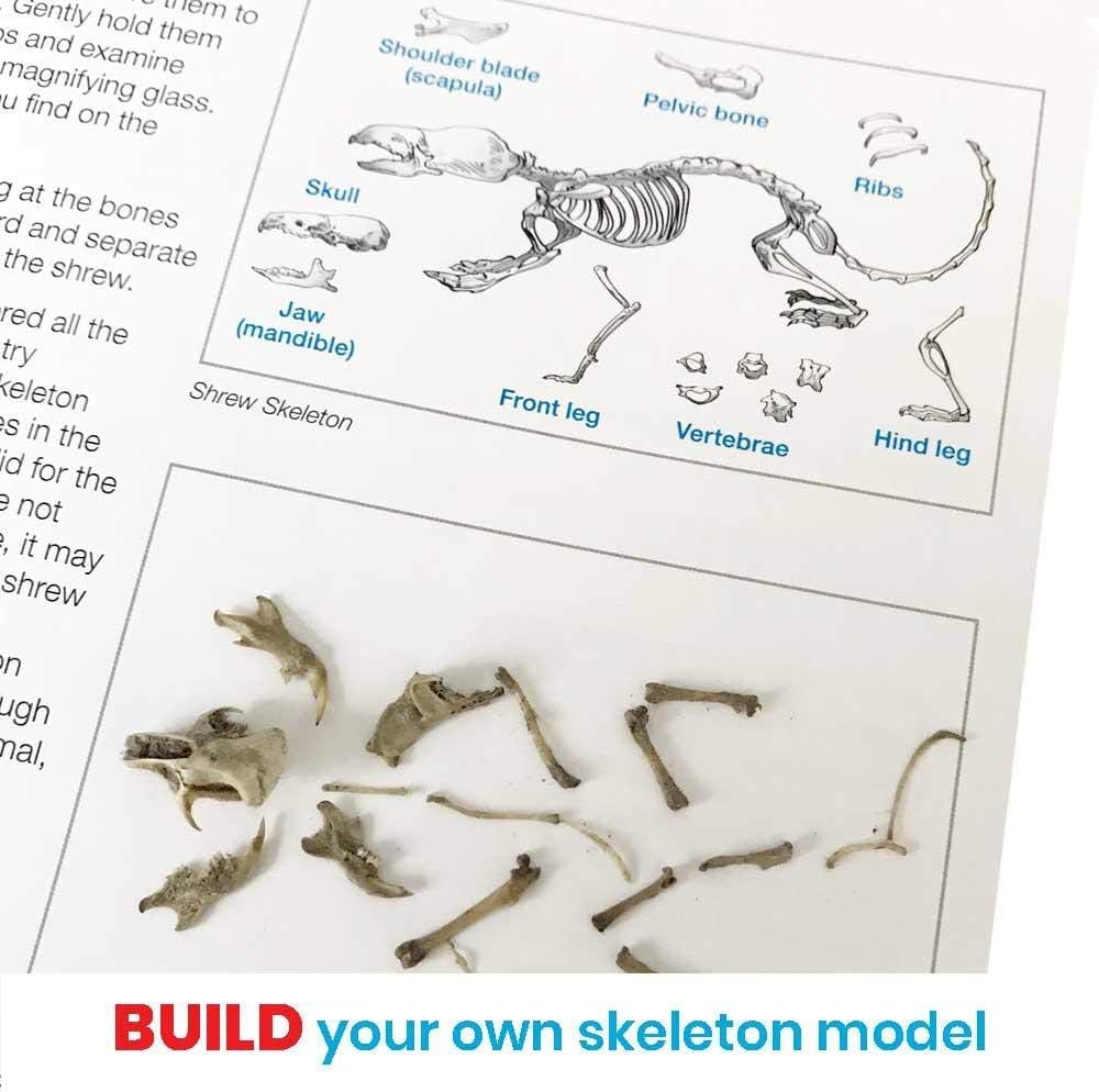 hand2mind Animal Science Kit for Kids 8-12, Kids Science Kit with Fact-Filled Guide, Learn About Animal Biology and Dissect Owl Pellets, STEM Toys, 10 Science Experiments - Image 6