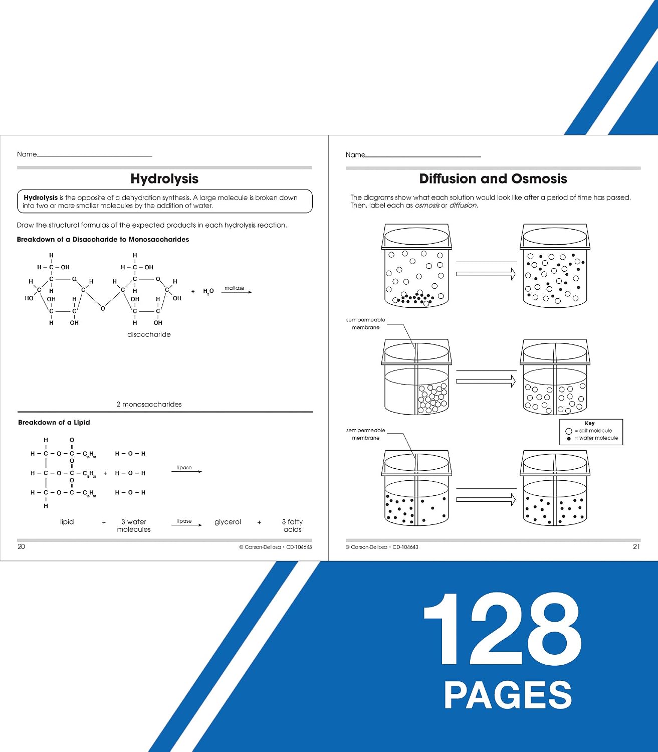 Carson Dellosa The 100 Series: Biology Workbook—Grades 6-12 Science, Matter, Atoms, Cells, Genetics, Elements, Bonds, Classroom or Homeschool Curriculum (128 pgs) - Image 5