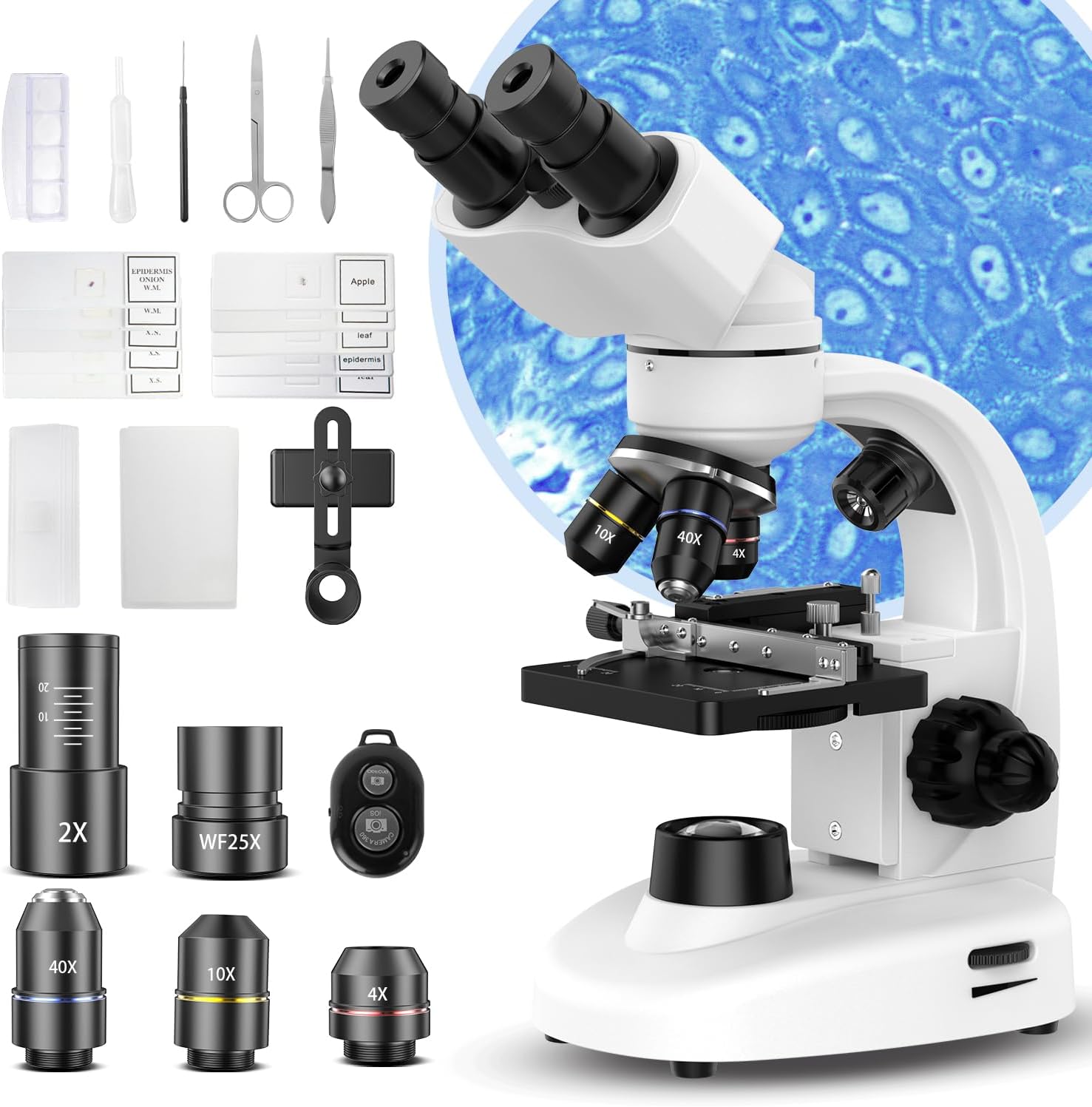 PalliPartners Compound Binocular Microscope for Adults, Professionals&Kids