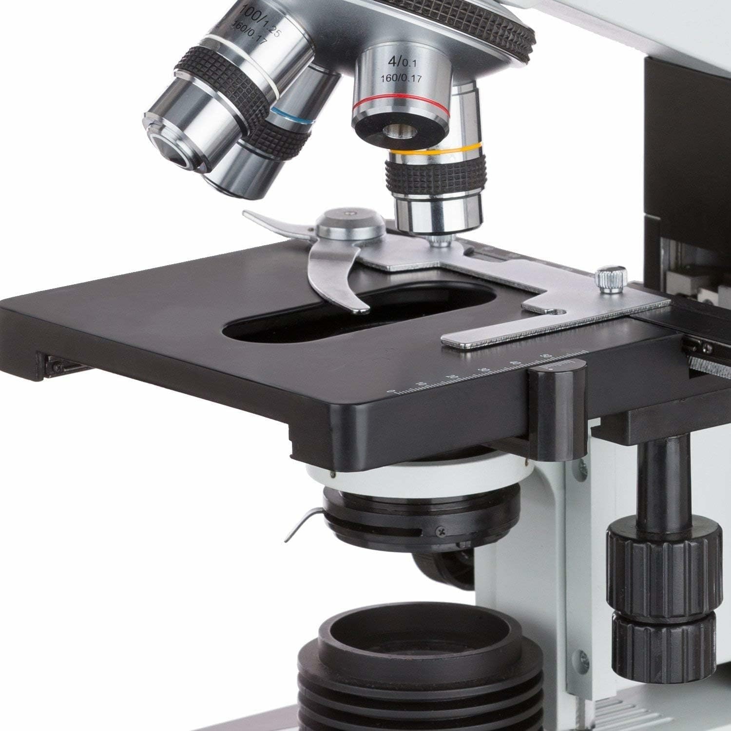 AmScope T490B Compound Trinocular Microscope, 2000X Magnification - Image 4