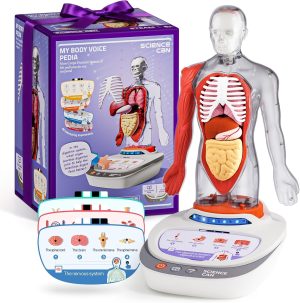 Science Can Human Body Model for Ki...