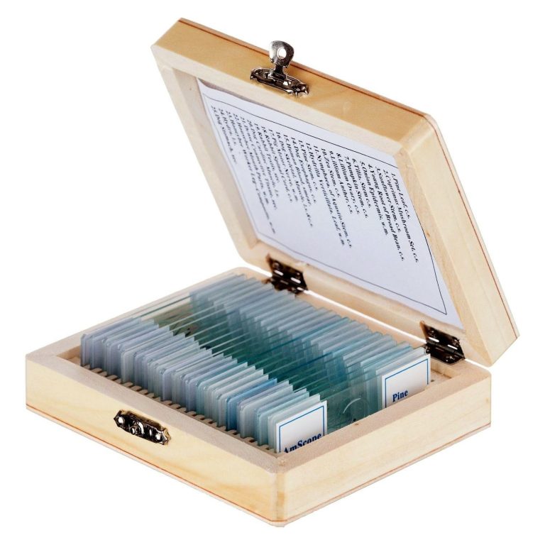 AmScope PS25 Prepared Microscope Slide Set for Basic Biological Science Education, 25 Slides, Includes Fitted Wooden Case, Brown
