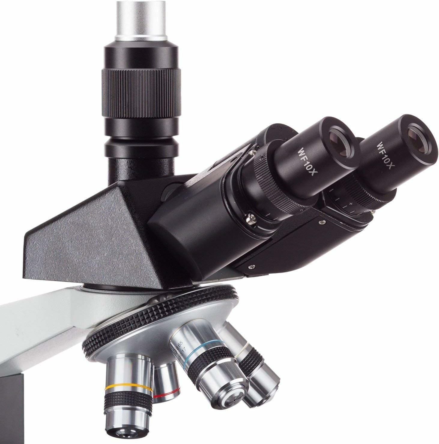 AmScope T490B Compound Trinocular Microscope, 2000X Magnification - Image 3