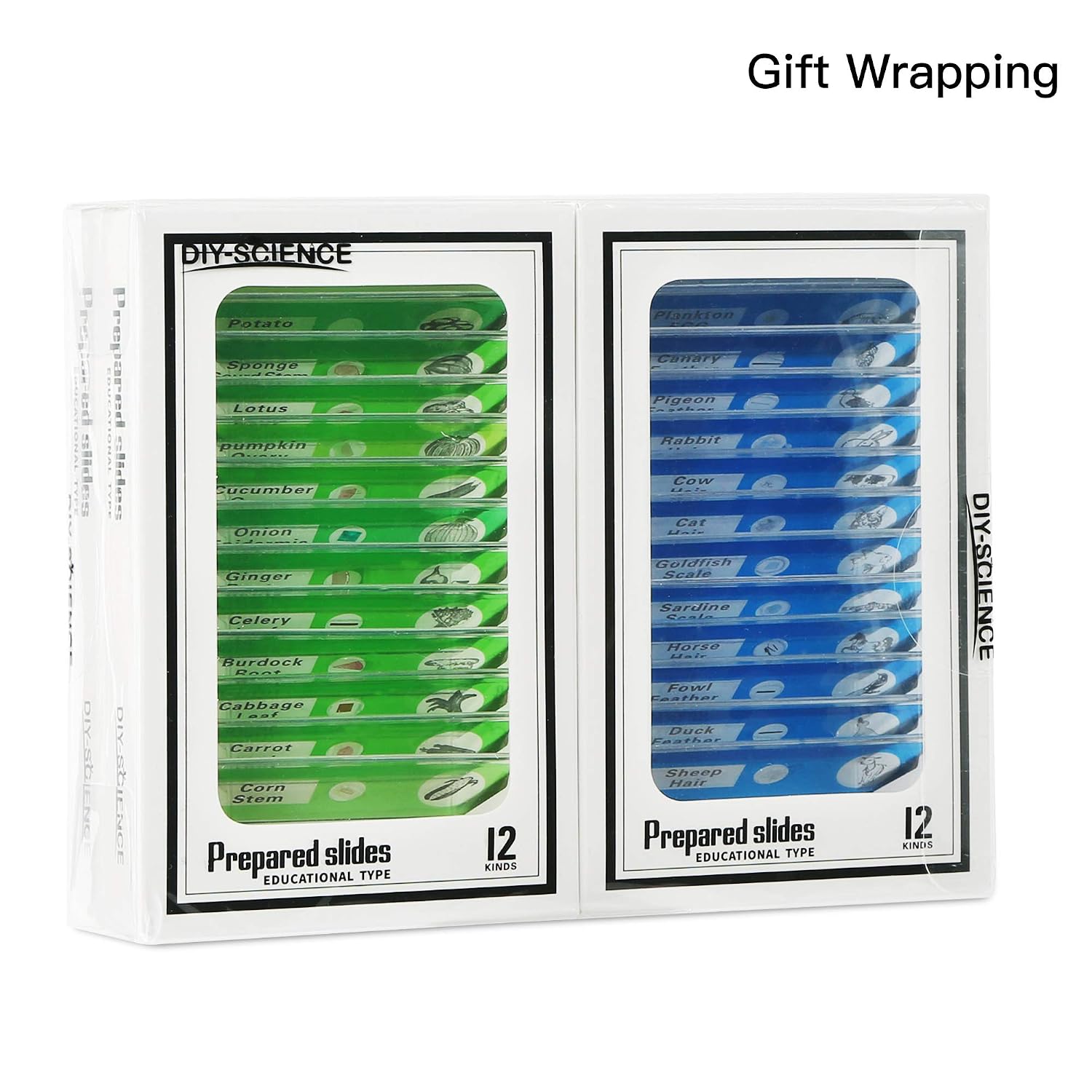 48 Prepared Microscope Slides Set of Animals Insects Plants Flowers, Biological Learning Resource Specimens for Kids Beginner Classroom Basic Science Education - Image 7