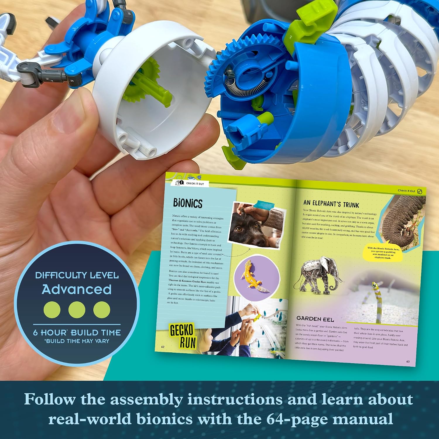 Thames & Kosmos Bionic Robotic Arm STEM Experiment Kit, Toy of The Year Finalist, Build a Mechanical Arm, No Batteries/Motors Required | Innovative System | Ages 10+ with Help, 14+ Independent Play - Image 6