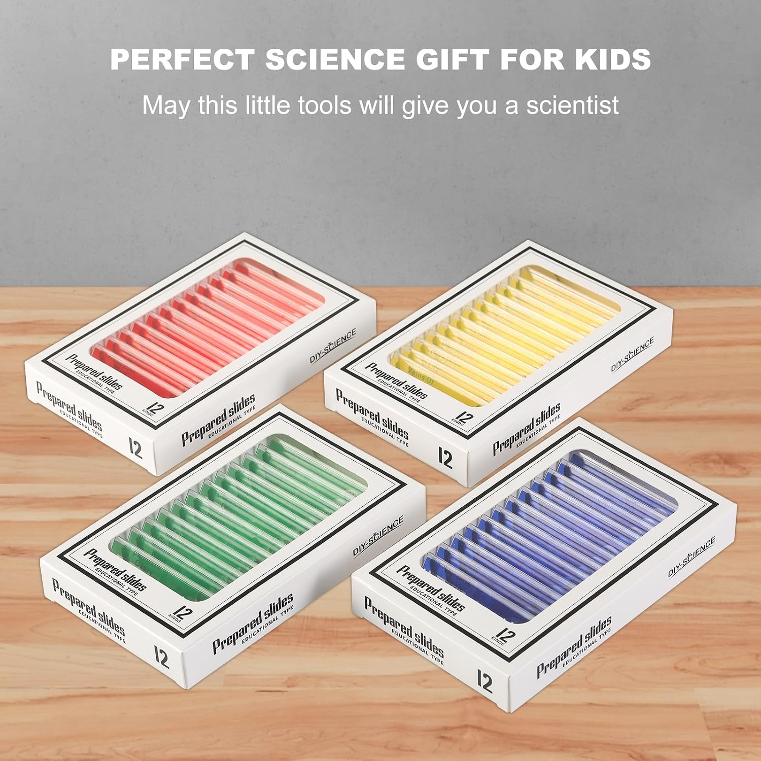 48 Prepared Microscope Slides Set of Animals Insects Plants Flowers, Biological Learning Resource Specimens for Kids Beginner Classroom Basic Science Education - Image 6