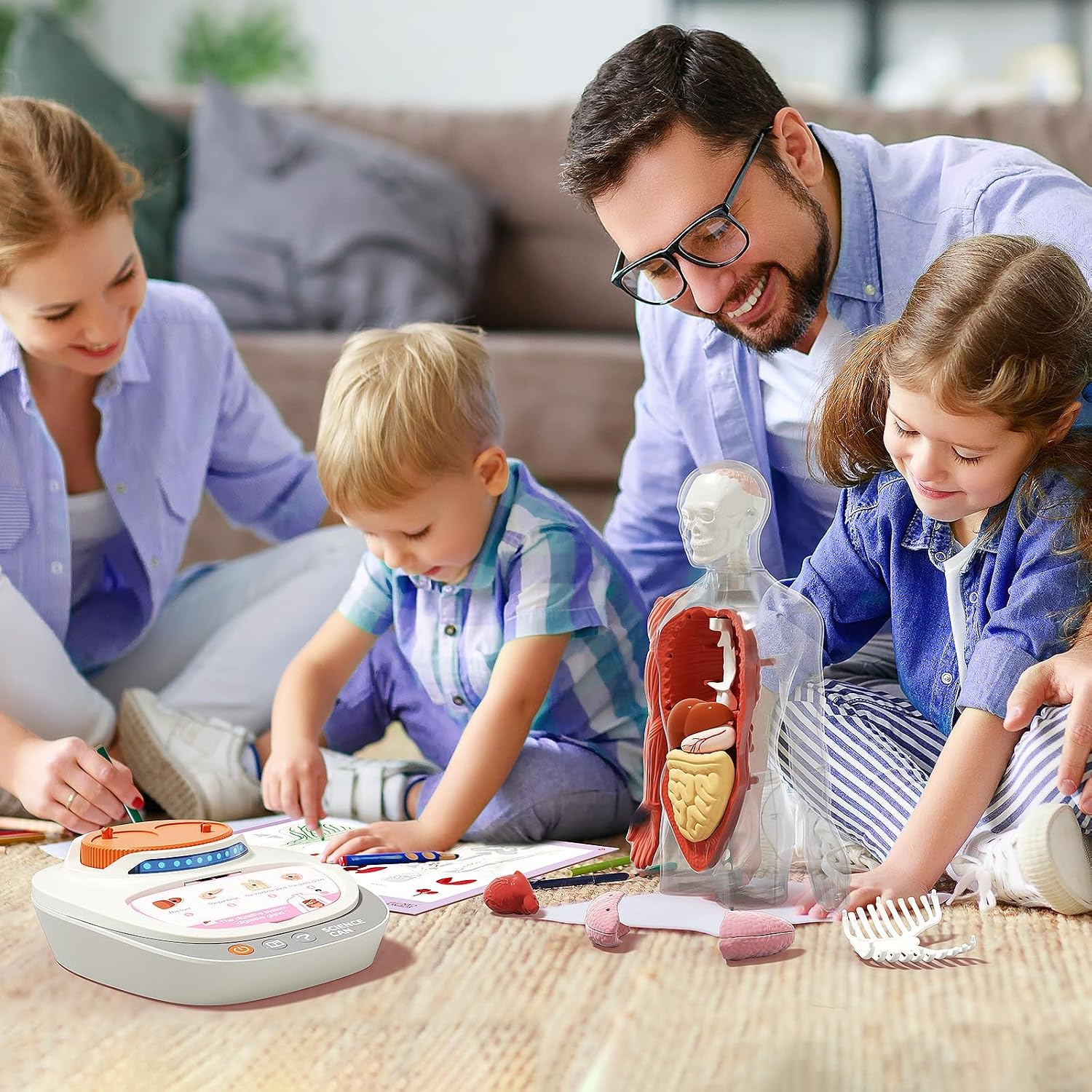 Science Can Human Body Model for Kids, Interactive Anatomy Learning Toys - Image 2