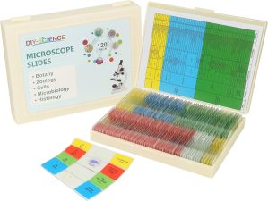 120 Microscope Slides with Specimen...