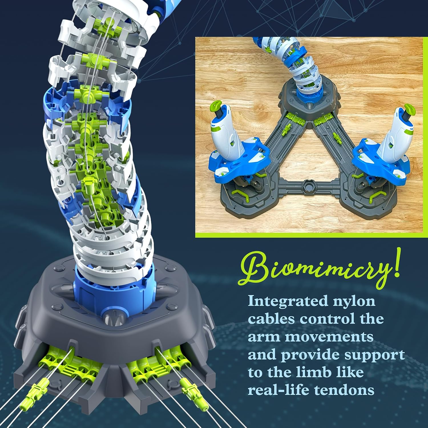 Thames & Kosmos Bionic Robotic Arm STEM Experiment Kit, Toy of The Year Finalist, Build a Mechanical Arm, No Batteries/Motors Required | Innovative System | Ages 10+ with Help, 14+ Independent Play - Image 4