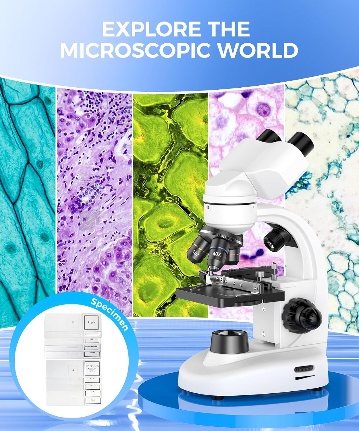 PalliPartners Compound Binocular Microscope for Adults, Professionals&Kids - Image 3
