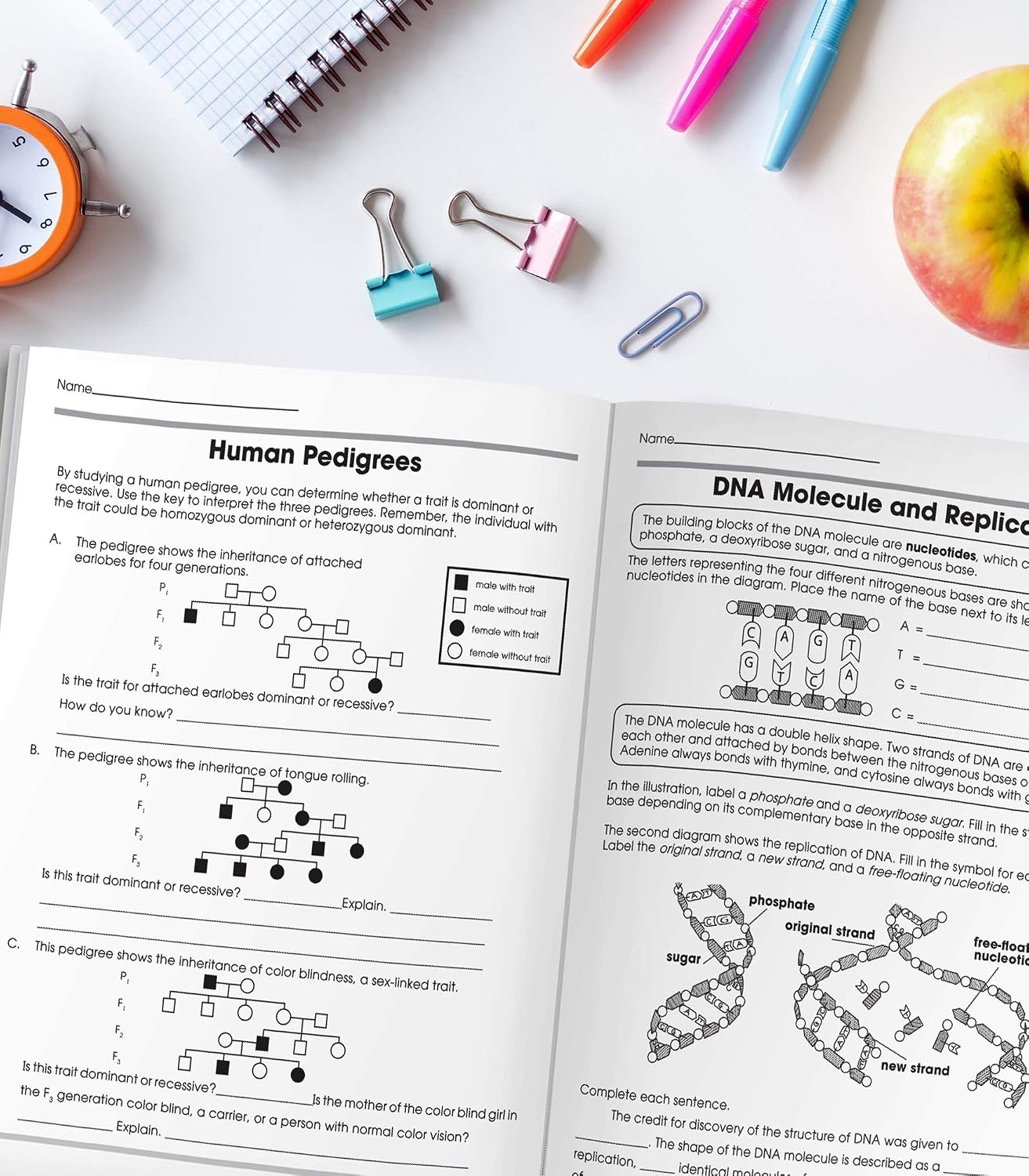 Carson Dellosa The 100 Series: Biology Workbook—Grades 6-12 Science, Matter, Atoms, Cells, Genetics, Elements, Bonds, Classroom or Homeschool Curriculum (128 pgs) - Image 7