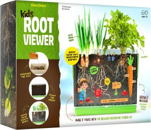 Root Viewer Kit for Kids – Gr...