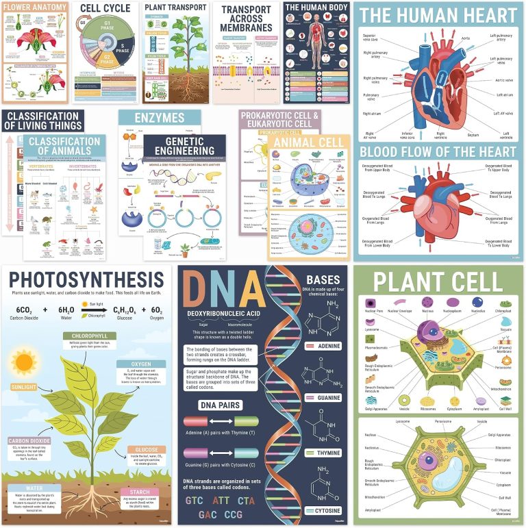 BrightenKidz Biology Posters for Classroom, 15 Pack 11x17 Science Charts