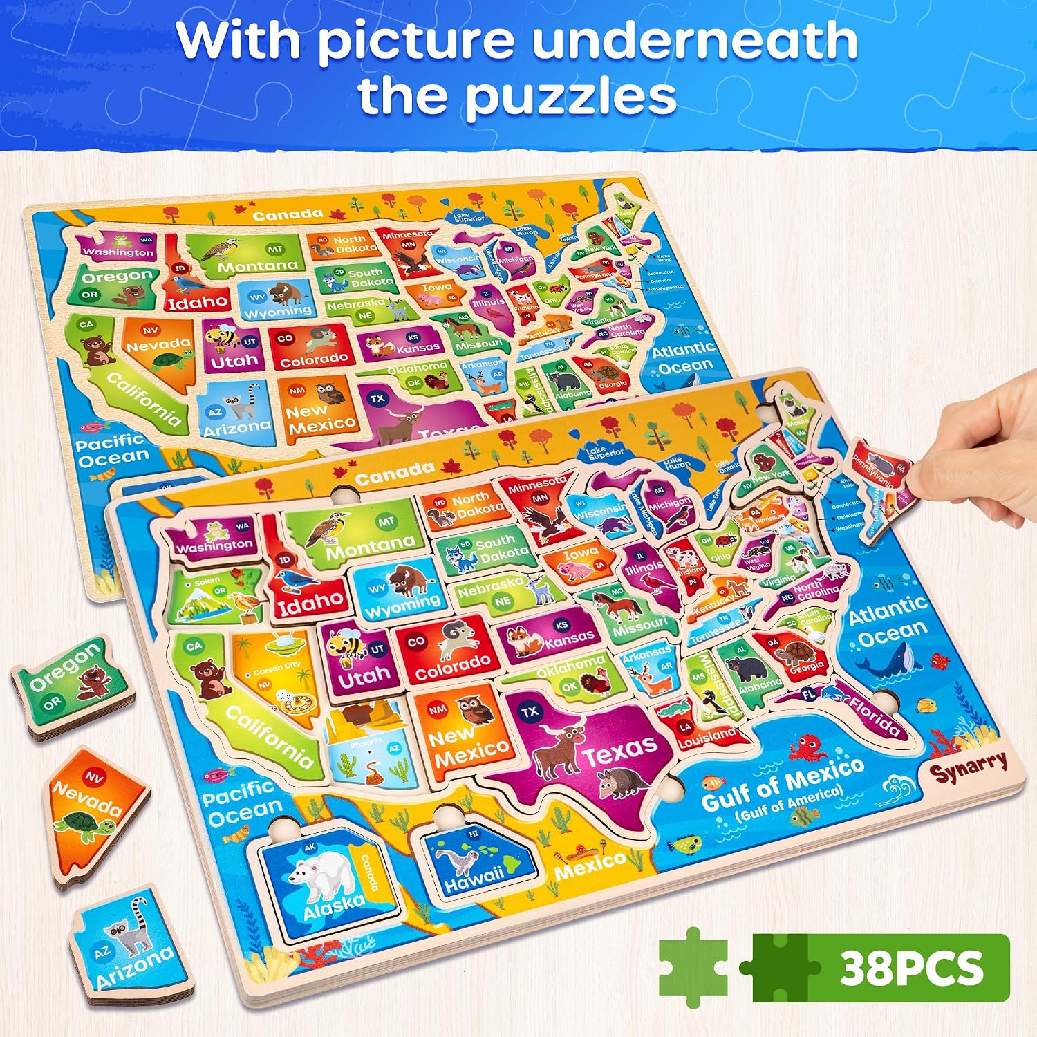 SYNARRY Large USA Wooden Puzzles for Kids Ages 3-5, Learning United States Map Puzles for Kids Ages 4-6, Wood Jigsaw Puzzles Educational Games Toys Gifts for Boys Girls Ages 3-8 - Image 3