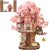 Rolife 3D Puzzles for Adults, Cherry Blossom Bonsai Tree Plants, Japanese Sakura Tree House Flowers Building Set for Adults for Table Toys & Home Decor, Creative Birthday Gift for Girls&Boys (535 PCS)
