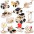 Soulchen 12 Sets STEM Kits DIY Wood Building Projects,Vehicles Mechanical