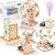 5 Individual STEM Science Kits for Kids, Wood Arts and Craft Kits 8-12